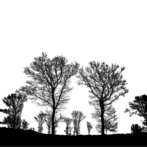 pasoda